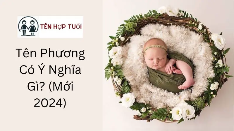 Tên Phương Có Ý Nghĩa Gì? (Mới 2024)